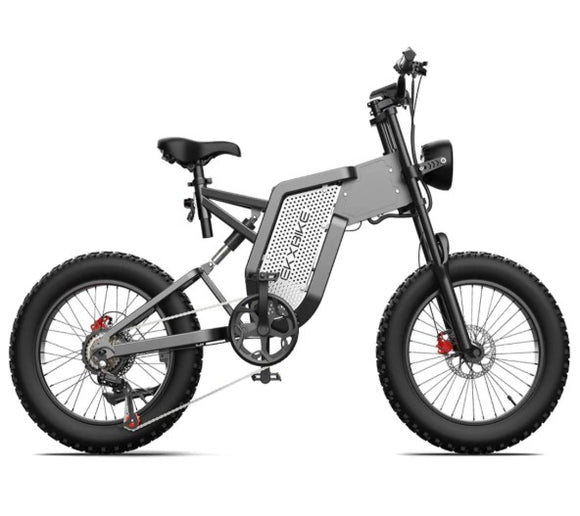 EKX X20 Fat Tire